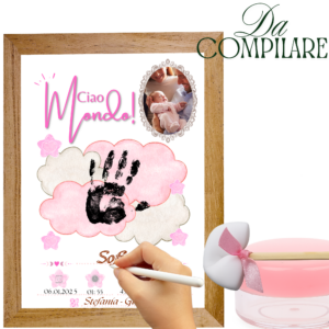 Quadretto Nascita Rosa- Bimba da compilare